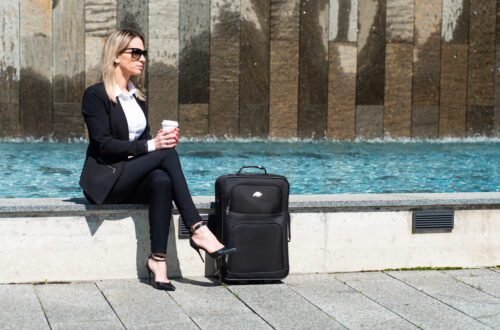 Business Woman Travel Free Stock Picture